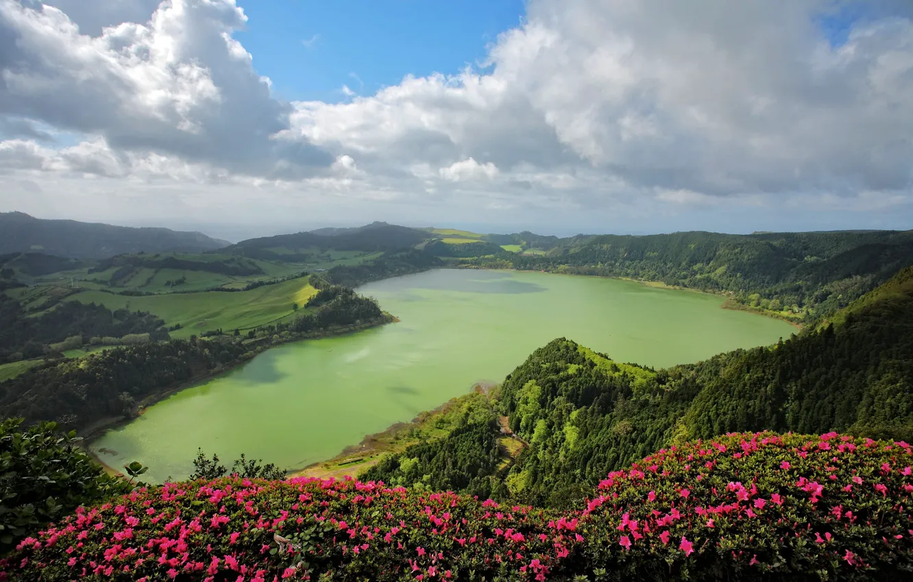 Photo wallpaper forest, flowers, mountains, lake, rhododendrons