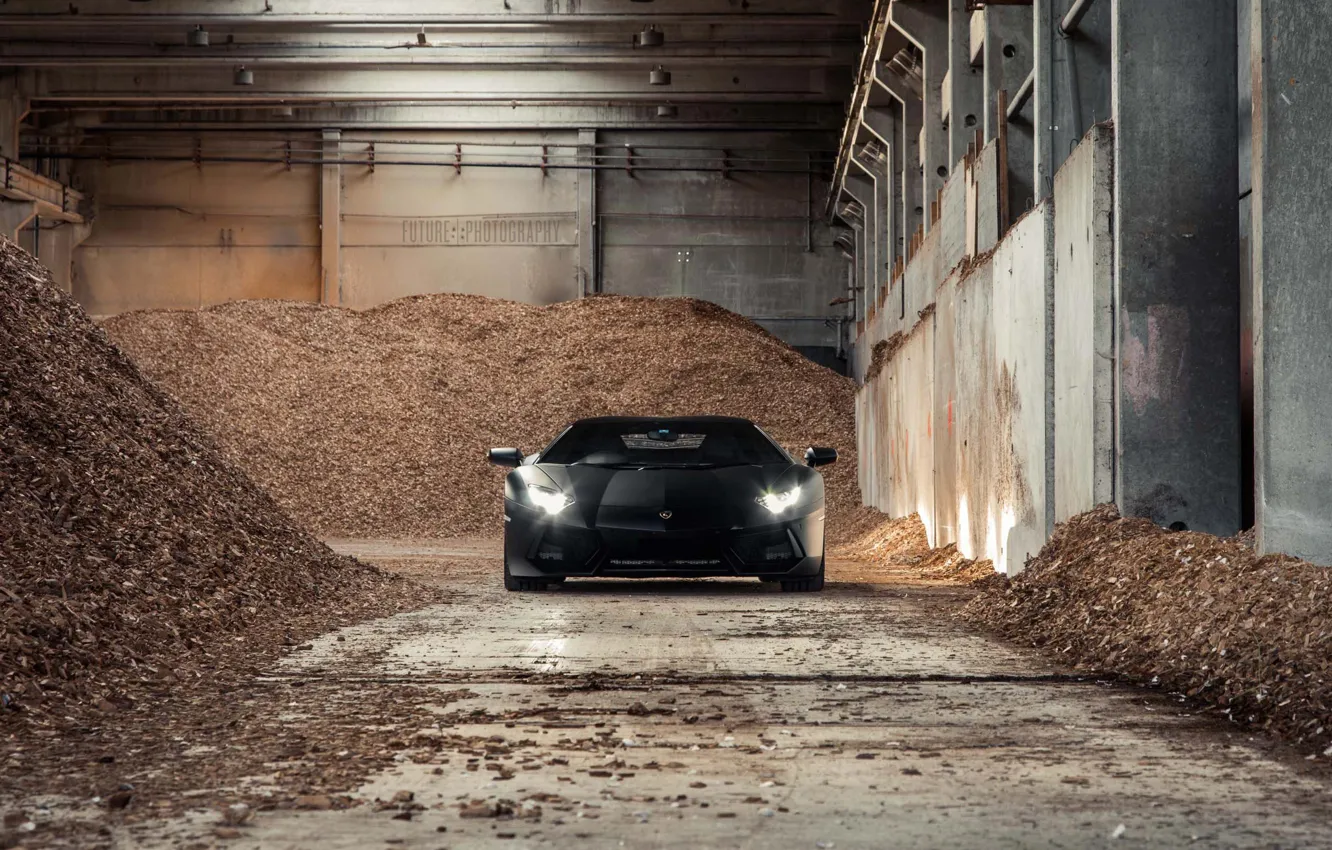 Photo wallpaper black, plant, lamborghini aventador