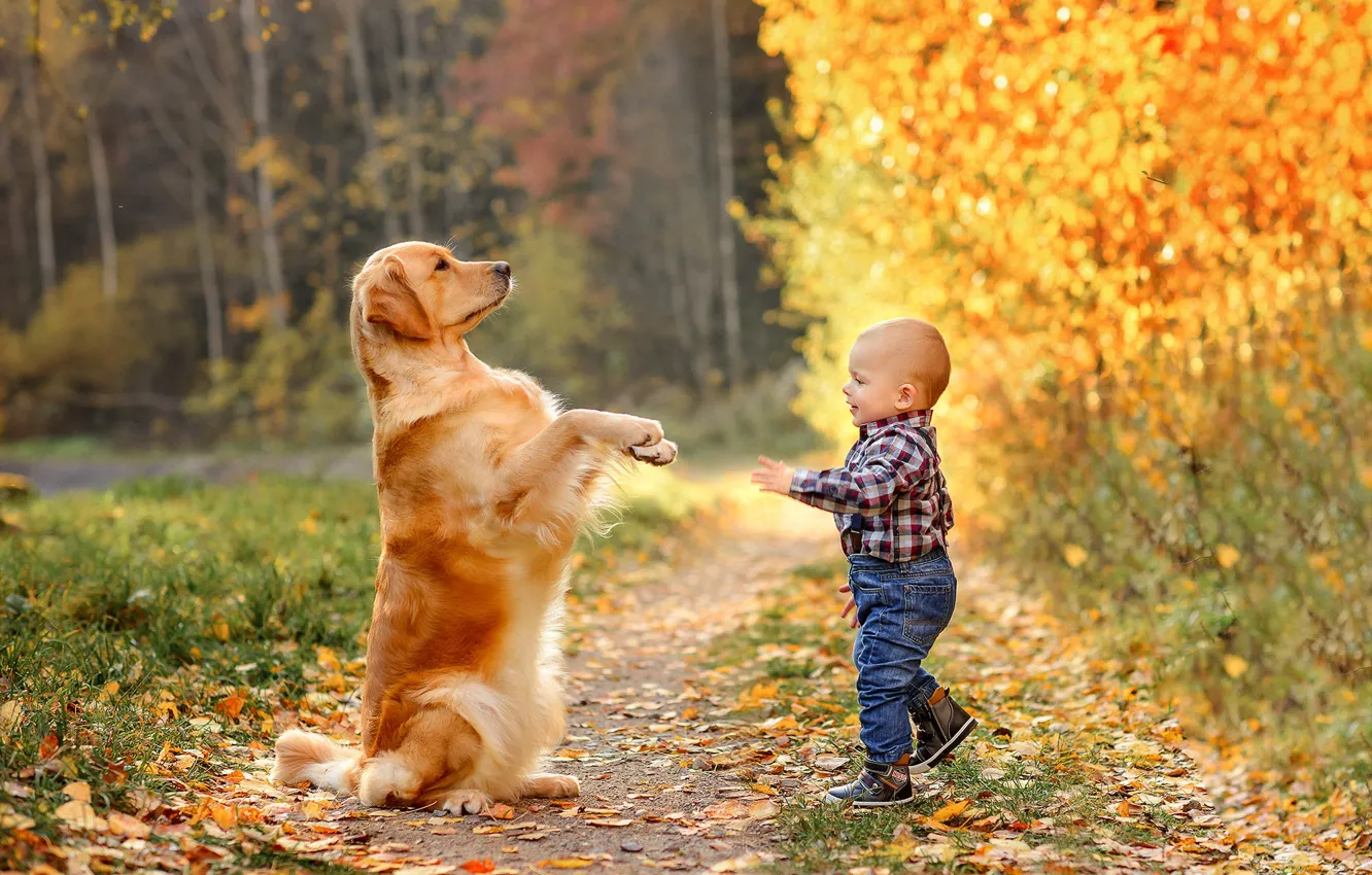 Wallpaper autumn, child, dog, boy images for desktop, section ситуации ...