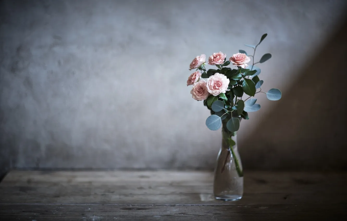 Photo wallpaper roses, vase, grey background