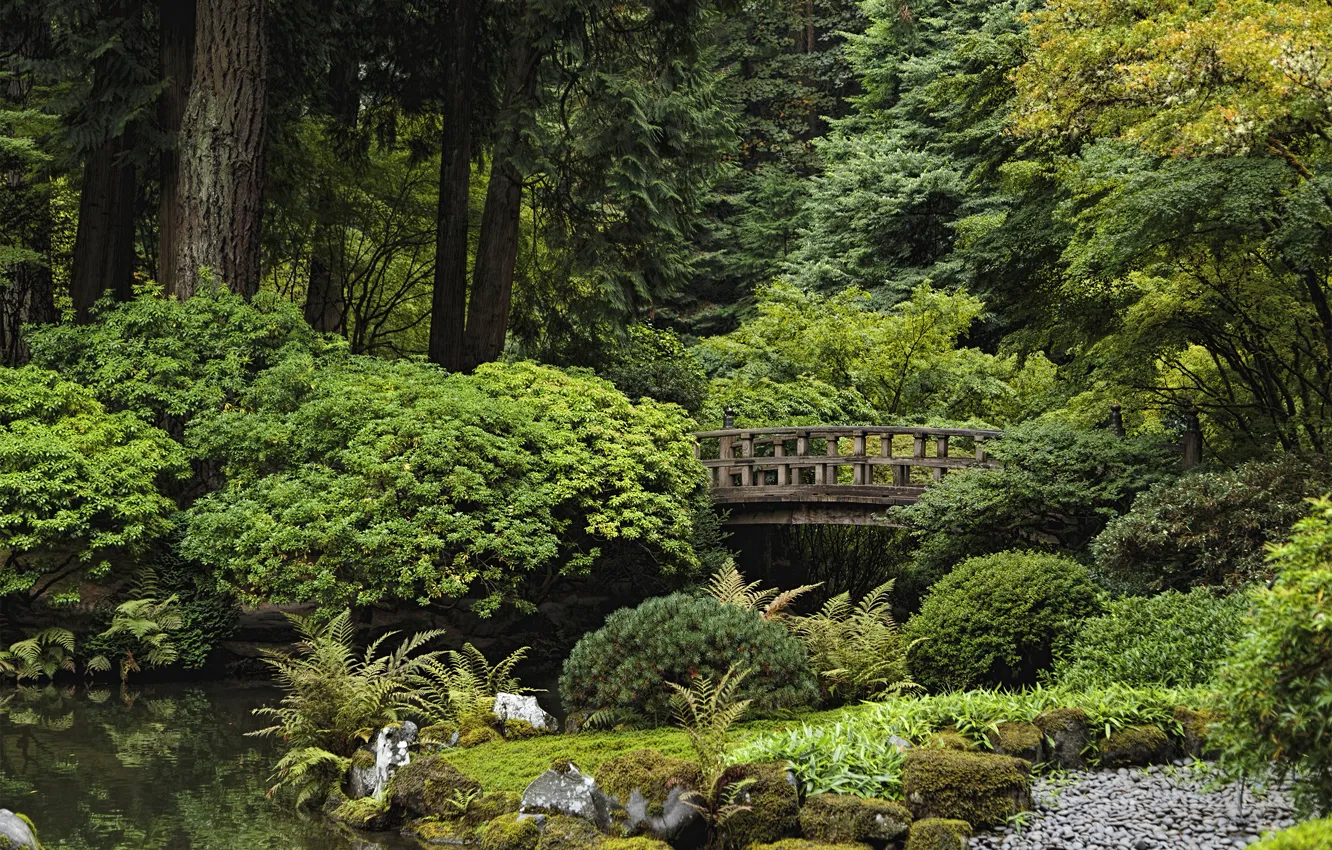 Photo wallpaper trees, pond, Park, stones, USA, the bushes, Oregon, Portland