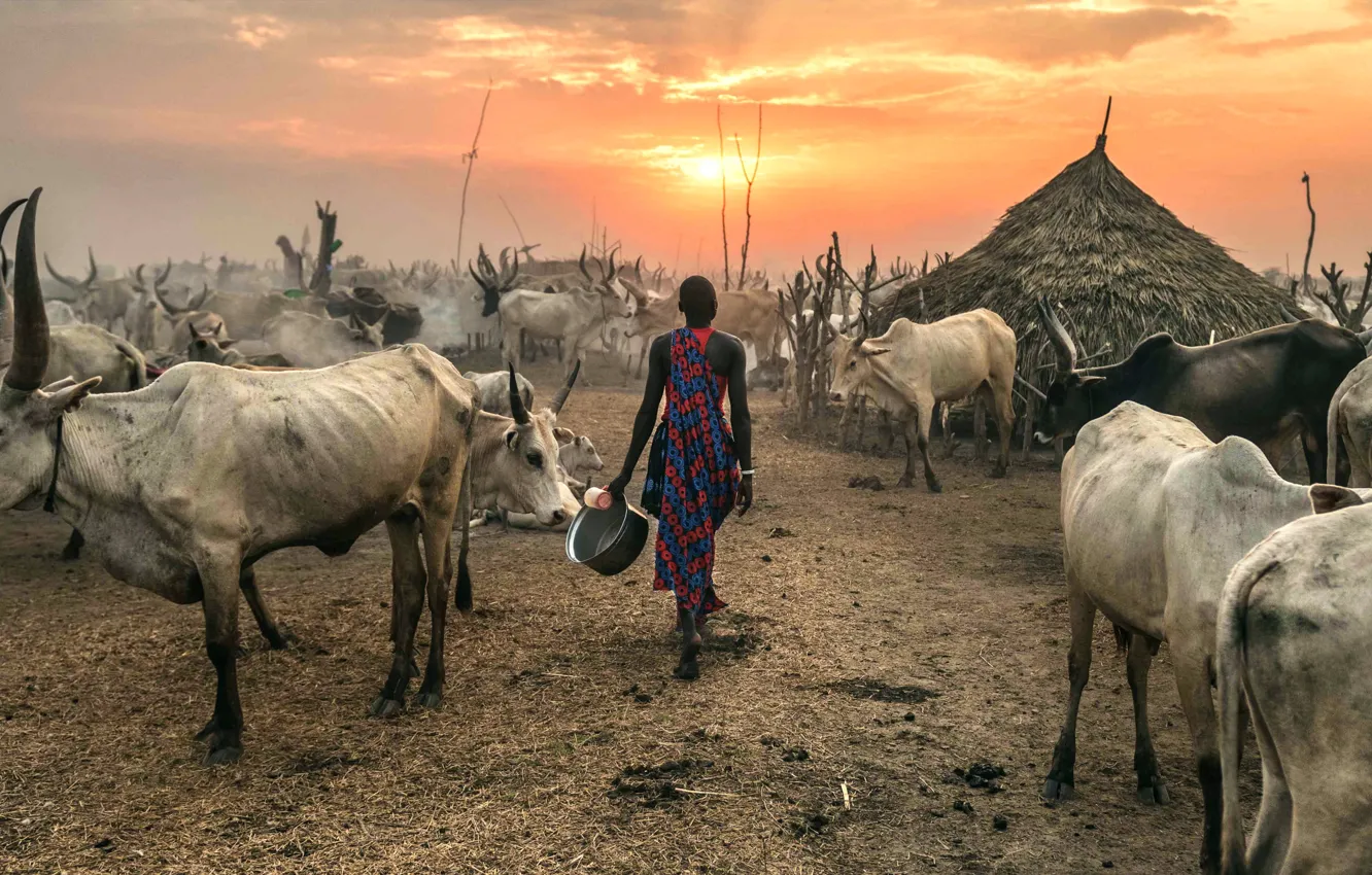 Photo wallpaper Terekeka, South Sudan, Against the Sun