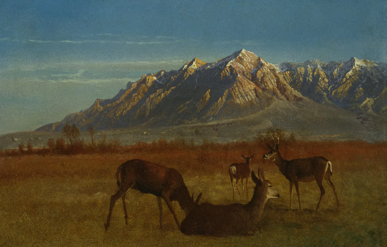 Photo wallpaper animals, landscape, mountains, picture, Albert Bierstadt, Deer in mountain home