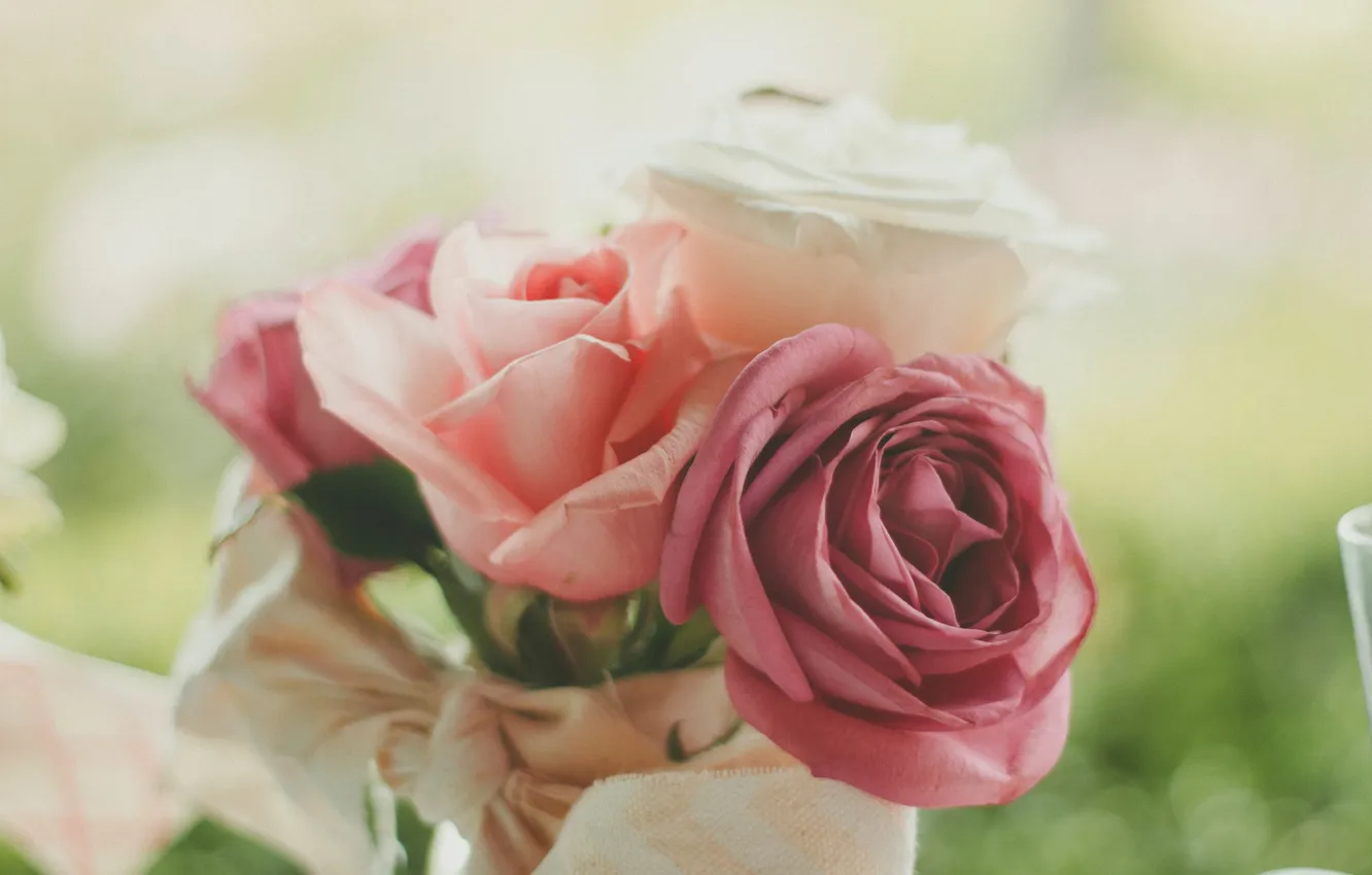 Photo wallpaper flowers, roses, petals