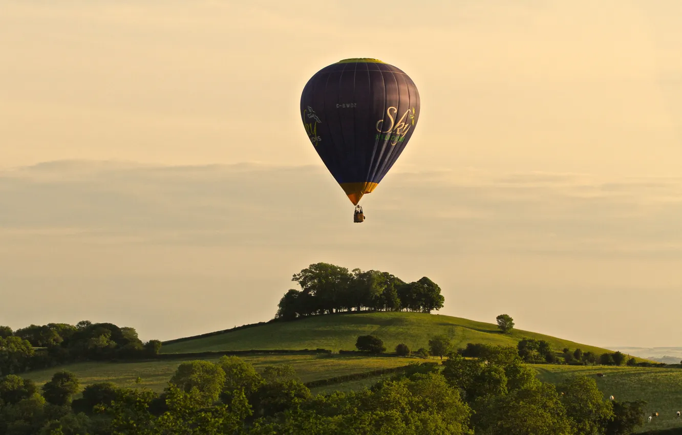 Photo wallpaper field, the sky, trees, sunset, green, balloon, shadow, cows