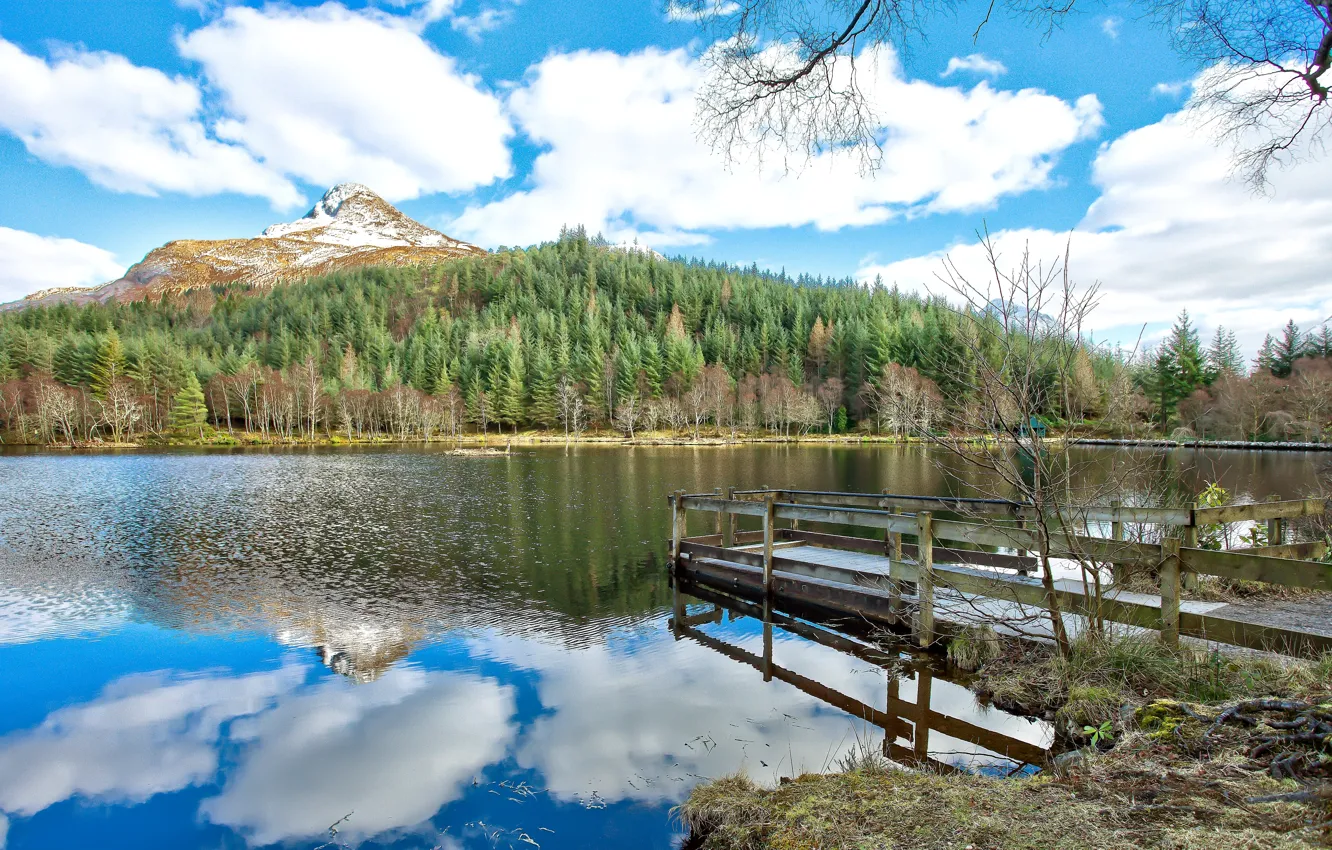 Photo wallpaper forest, the sky, clouds, trees, mountains, reflection, river, shore