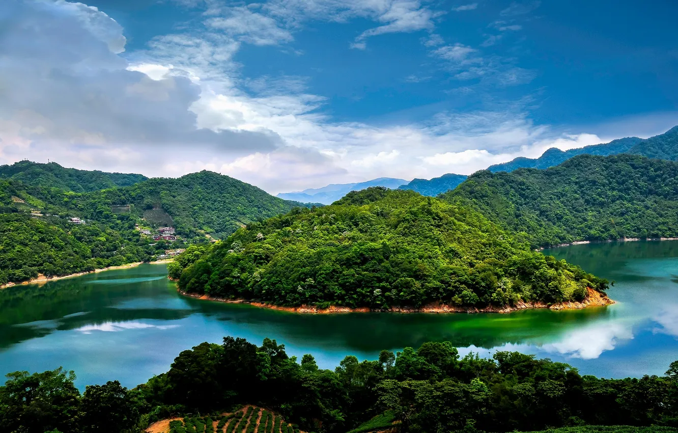 Photo wallpaper forest, river, landscape, nature, clouds