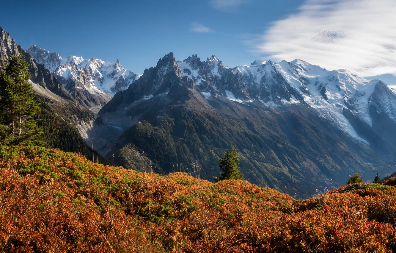 Photo wallpaper autumn, forest, mountains, tops, view, slope