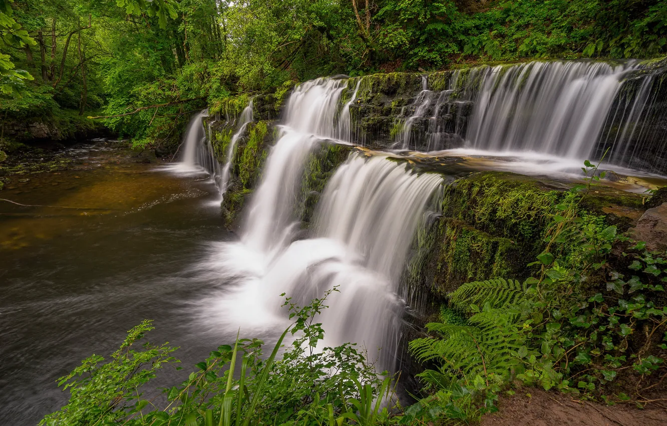 Photo wallpaper forest, river, England, waterfall, cascade, England, Wales, Wales
