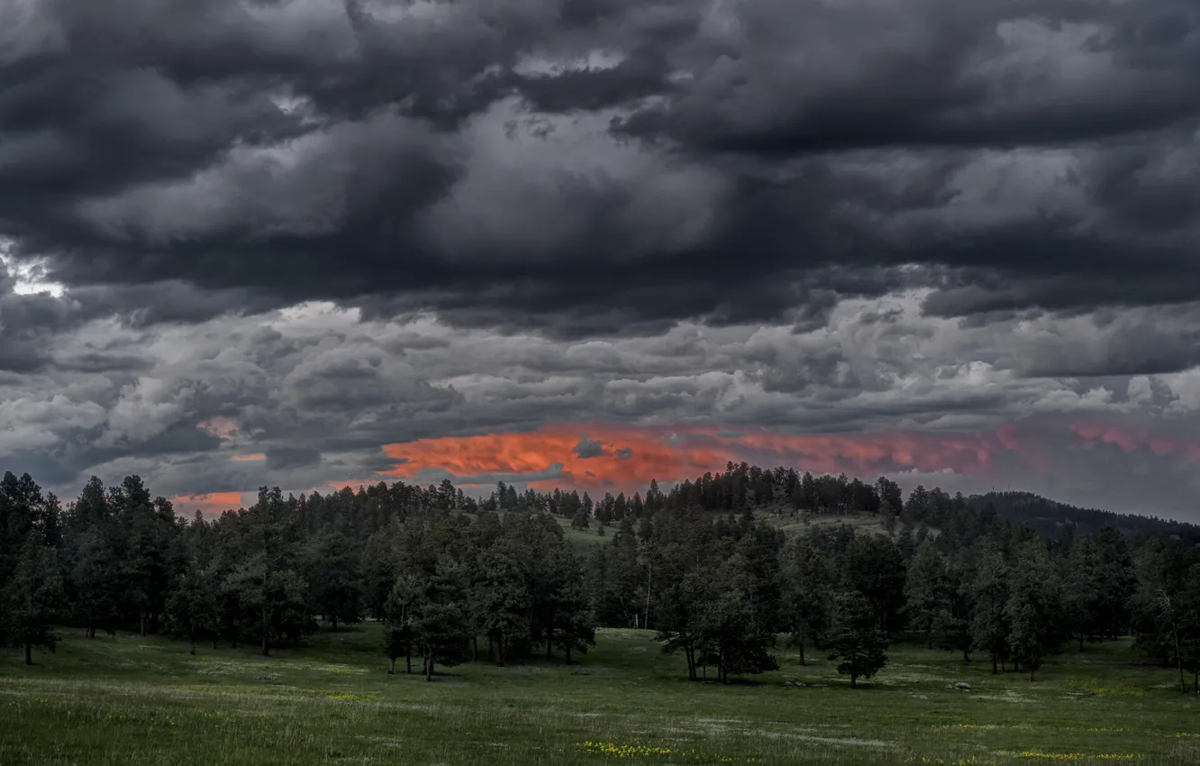 Photo wallpaper sunset, nature, the evening