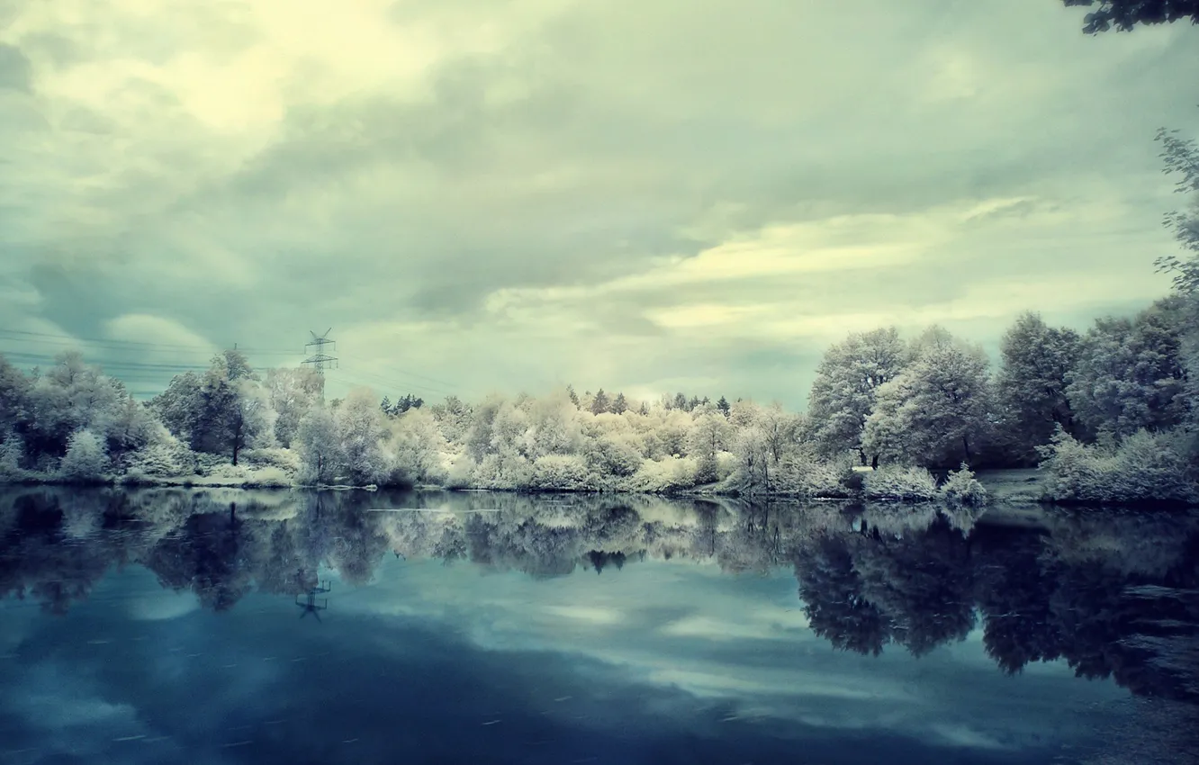 Photo wallpaper winter, frost, clouds, snow, trees, lake, overcast