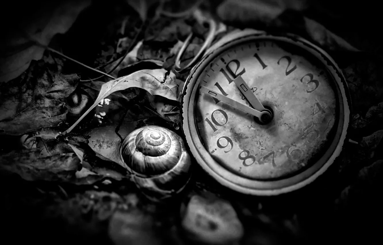 Photo wallpaper watch, black and white, Time is now