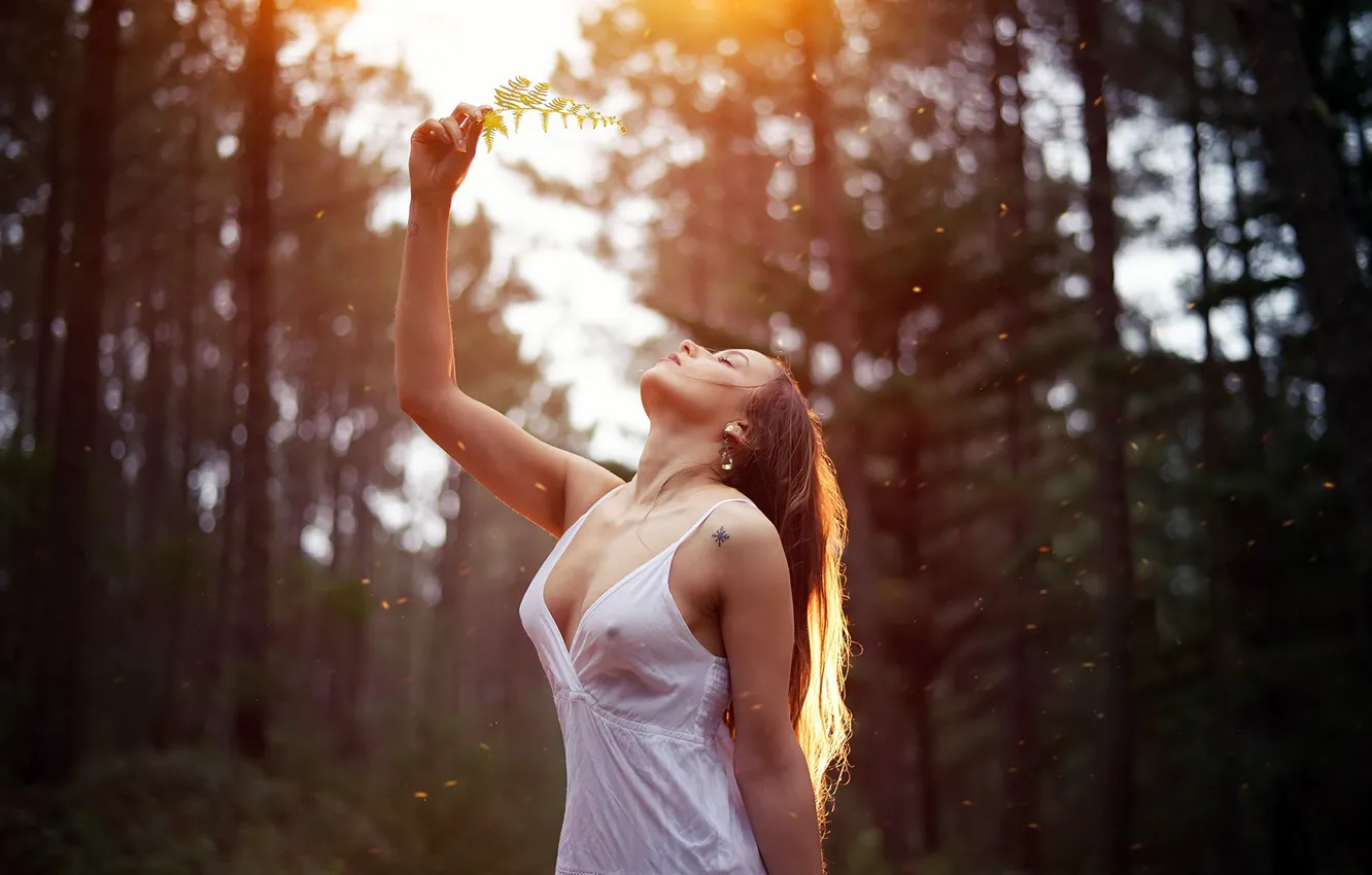 Photo wallpaper forest, girl, light