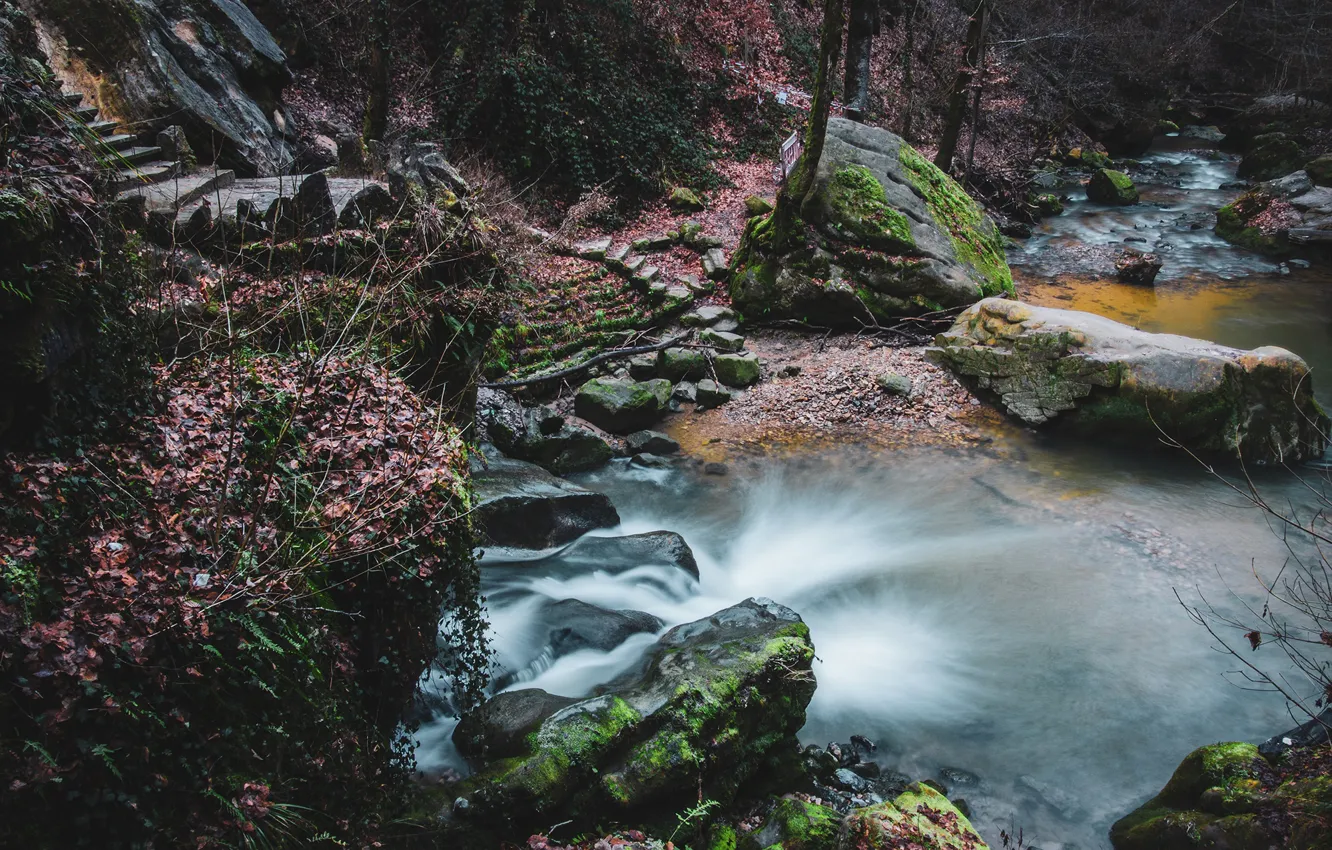 Photo wallpaper leaves, trees, stream, stones, waterfall, moss, ladder, stage
