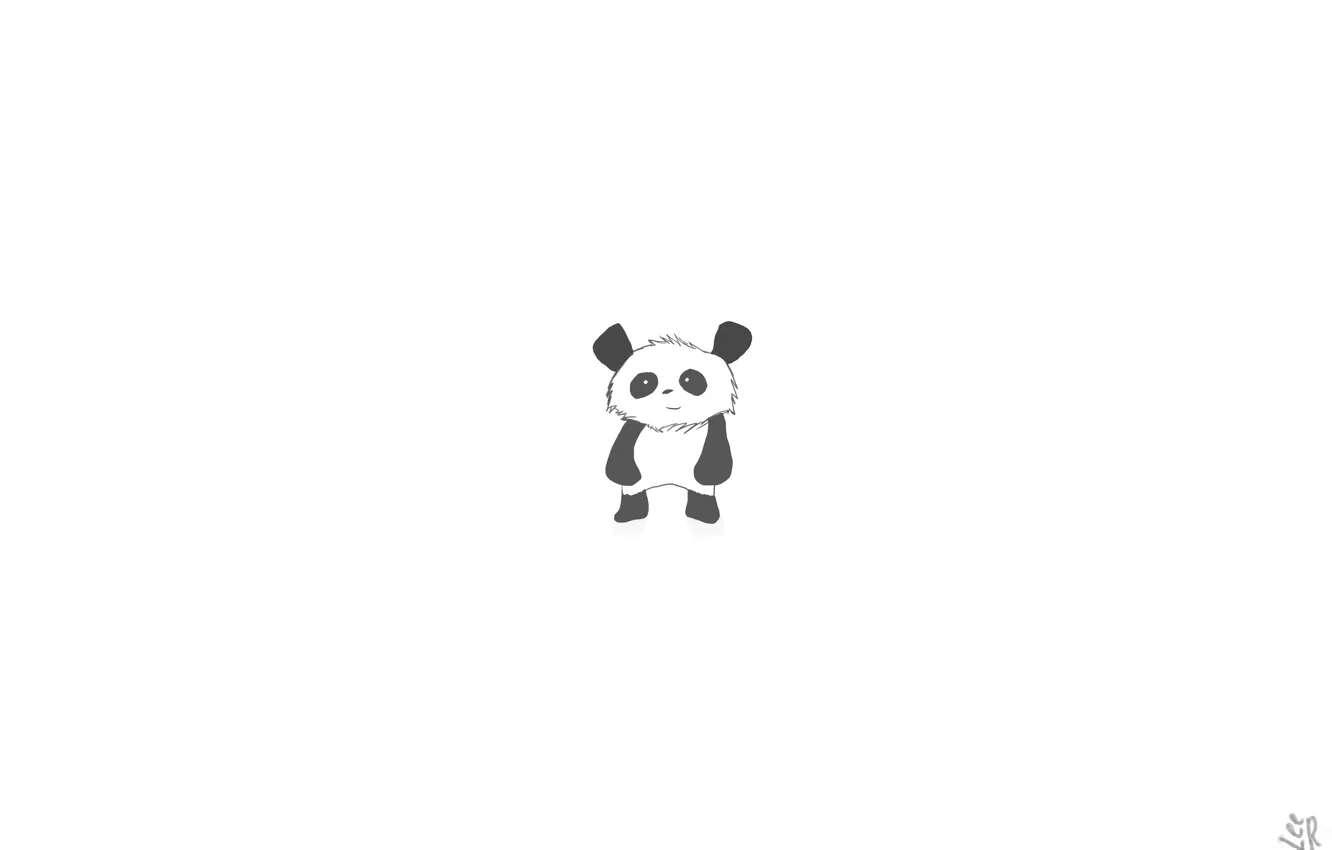 Photo wallpaper figure, Panda, smile, panda, LeeR