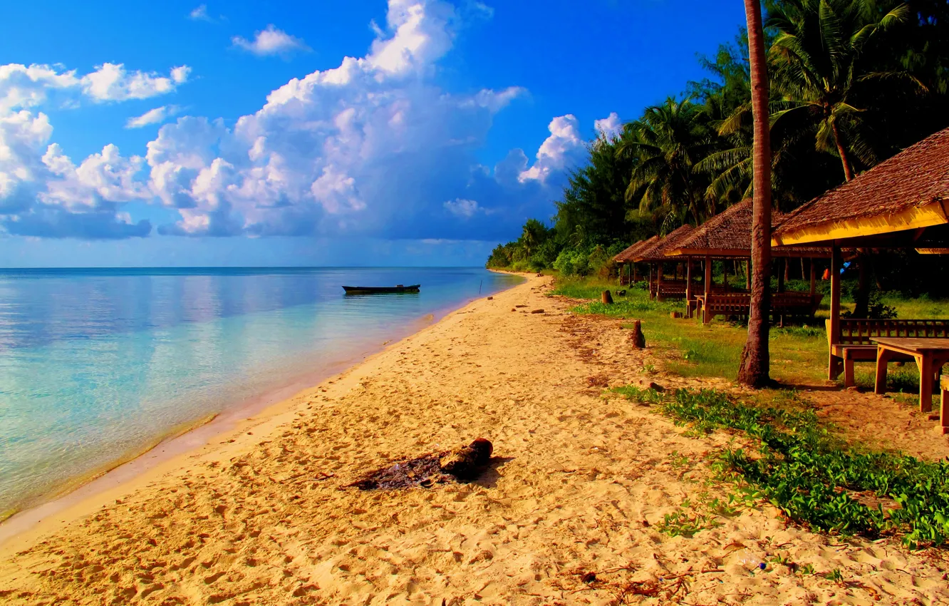 Photo wallpaper beach, nature, palm trees, the ocean, resort, exotic