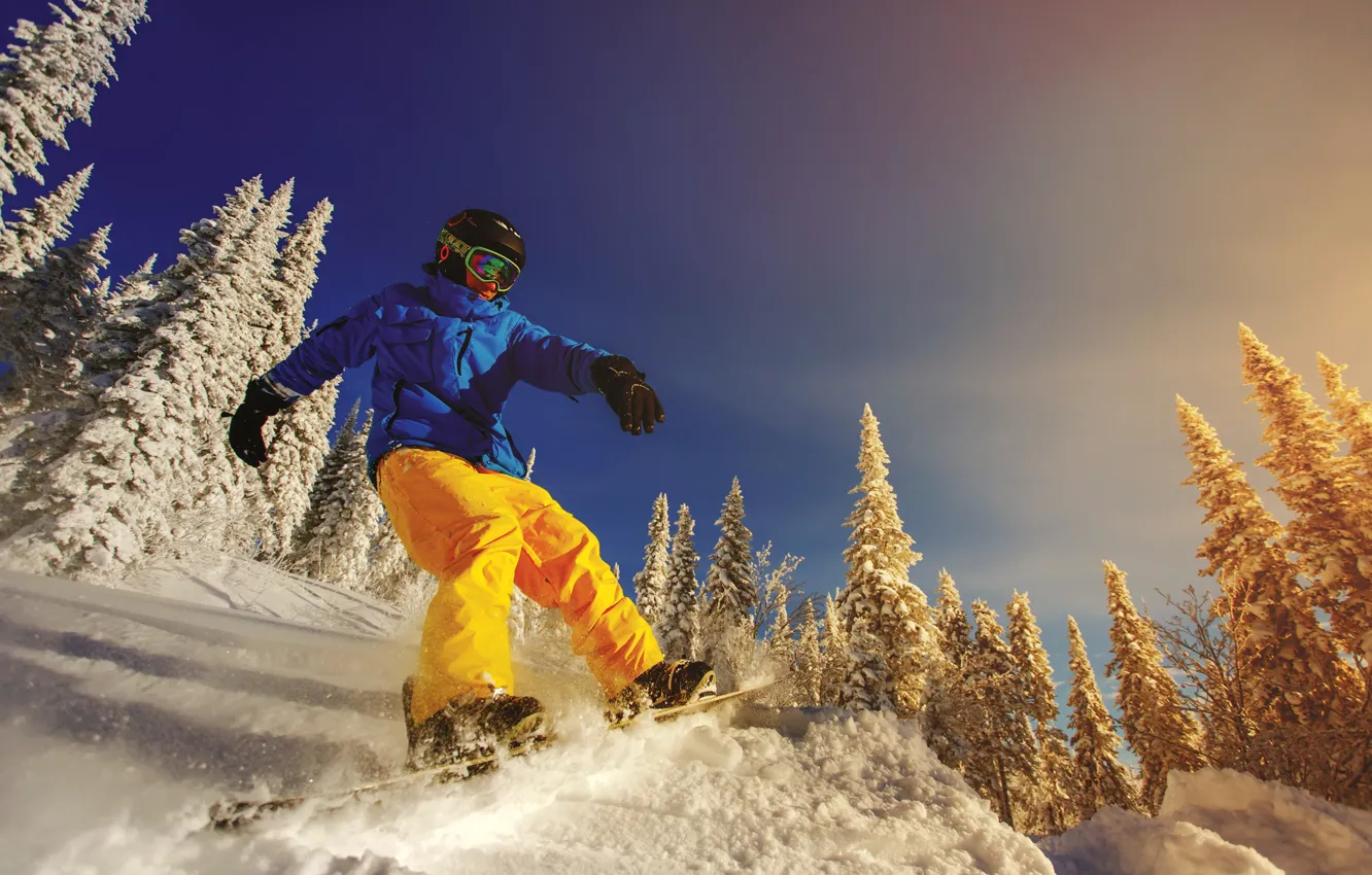 Photo wallpaper winter, the sun, snow, trees, snowboard, glasses, jacket, gloves
