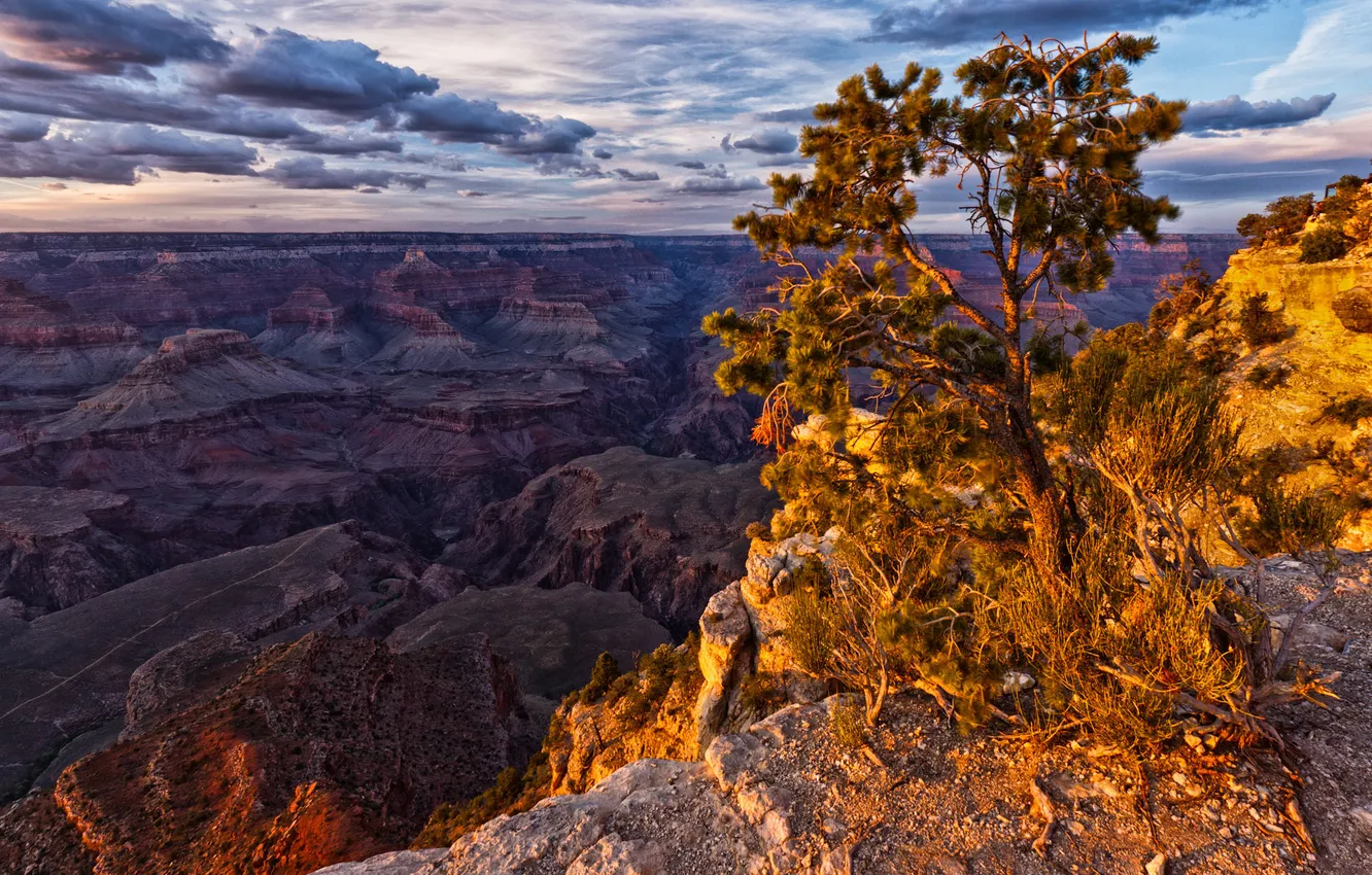 Photo wallpaper the sky, clouds, trees, canyon