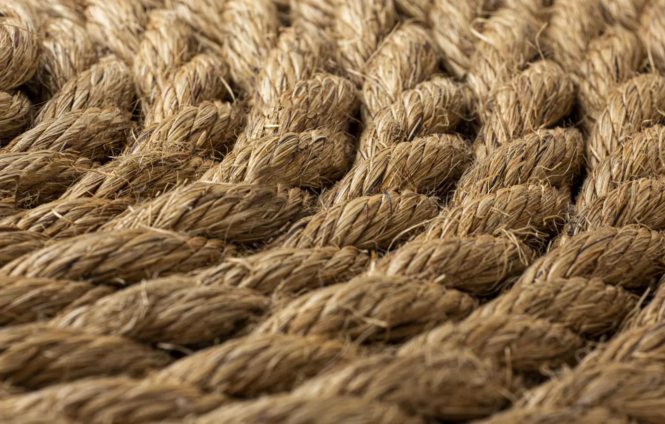 Photo wallpaper macro, round, spiral, texture, rope, rope, braid, netting