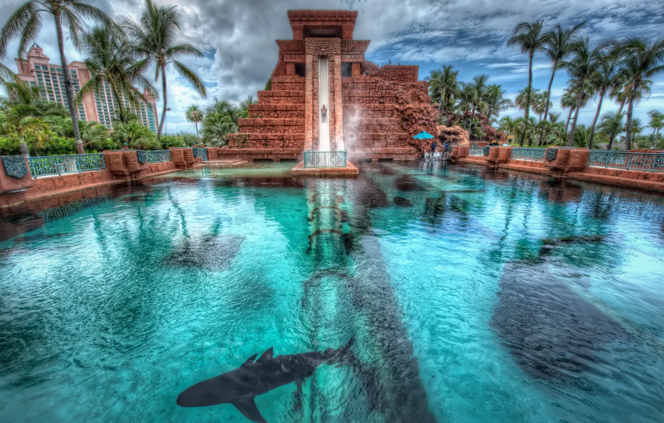 Photo wallpaper palm trees, shark, pool, Bahamas, Bahamas, Nassau, Nassau, Atlantis Hotel