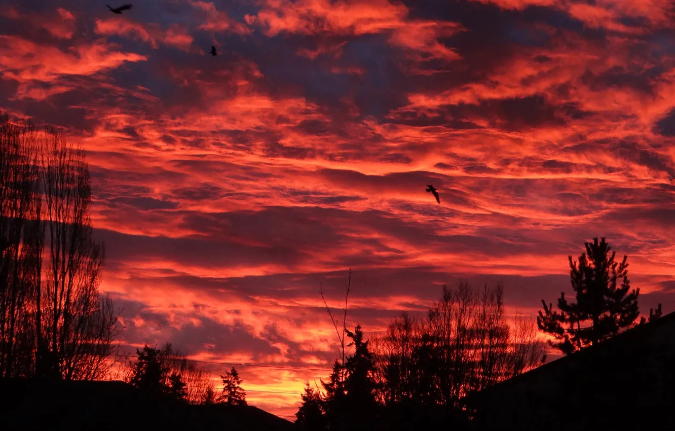 Photo wallpaper the sky, clouds, sunset