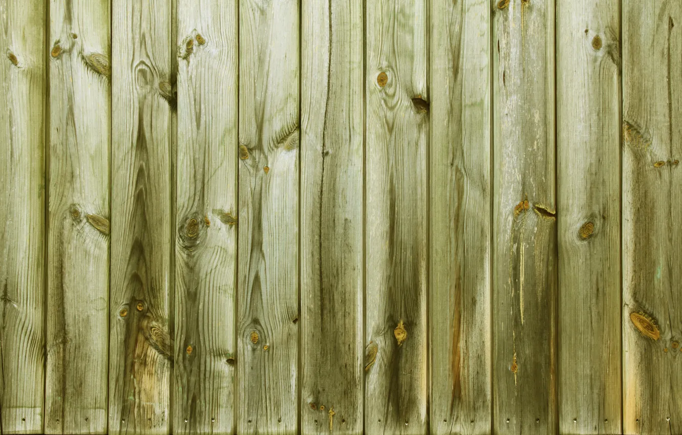 Photo wallpaper wall, wood, old