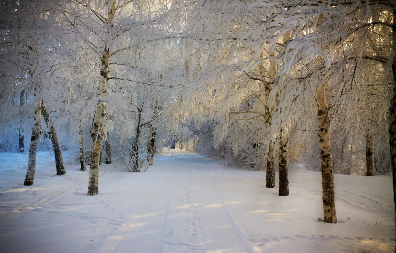 Photo wallpaper winter, road, forest, the sky, snow, trees, landscape, nature