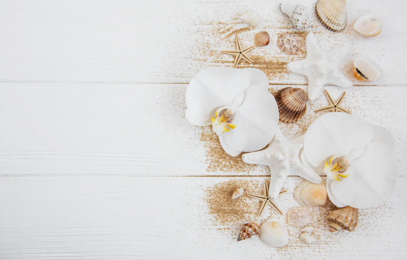 Photo wallpaper white, flowers, table, background, white, orchids, sea shells, Olena Rudo