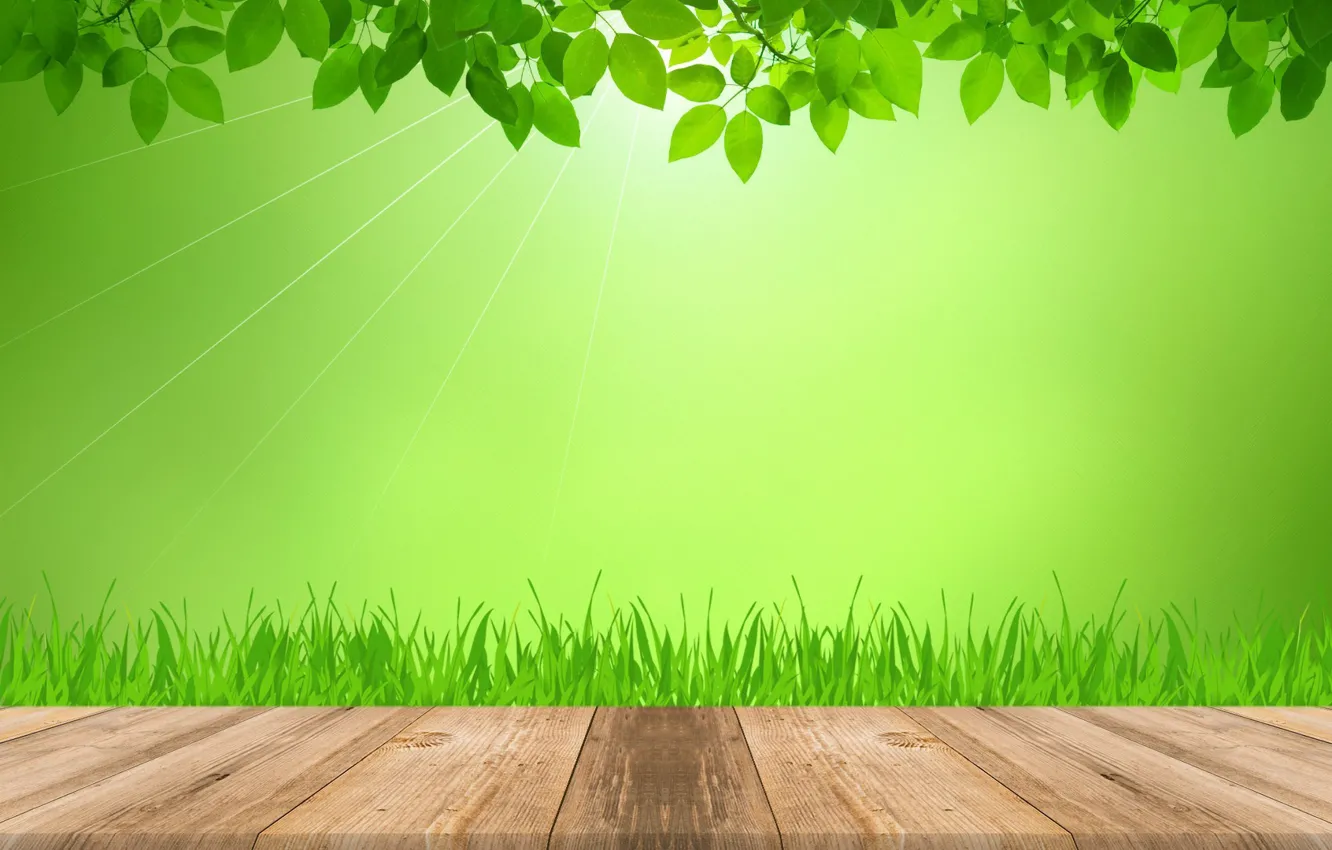 Photo wallpaper grass, leaves, rays, light, green, Board