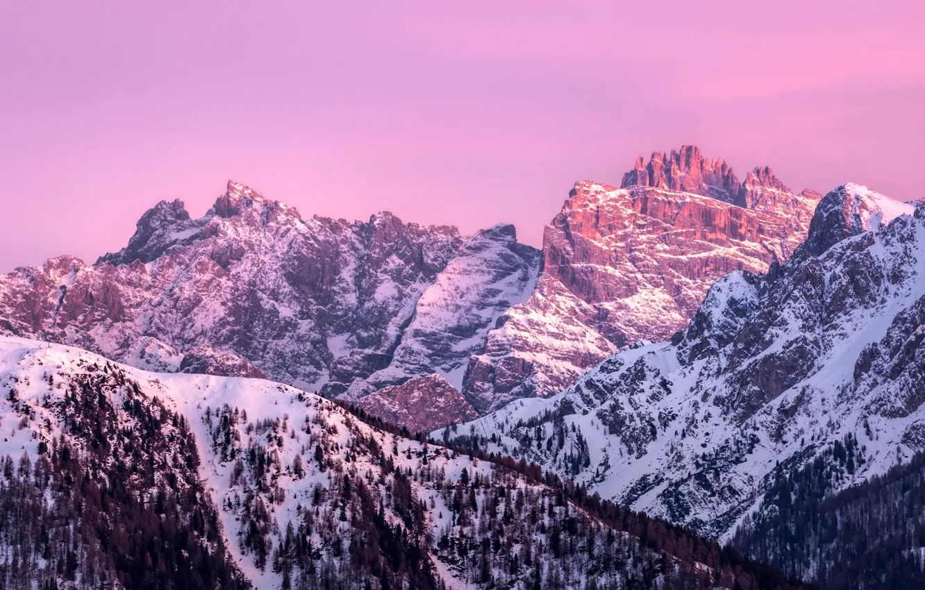 Photo wallpaper winter, forest, the sky, snow, trees, mountains, nature