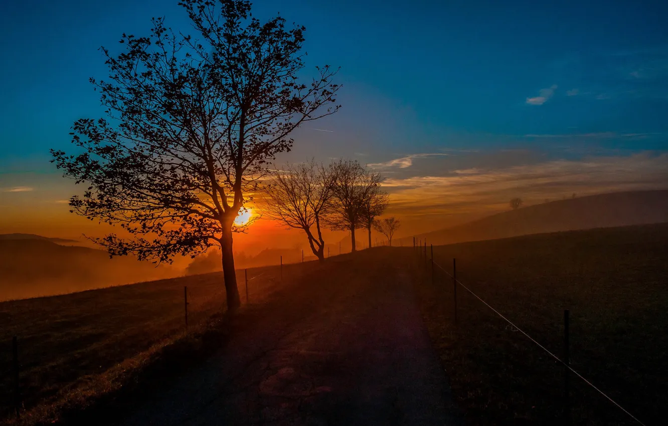 Photo wallpaper road, autumn, trees, sunset, Germany, Germany, Baden-Württemberg, Baden-Württemberg