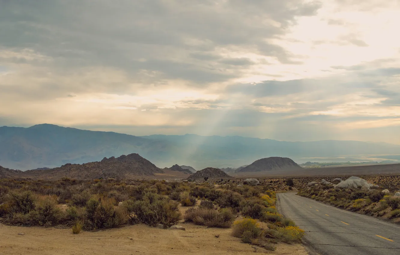 Photo wallpaper road, clouds, rays, flowers, mountains, vegetation