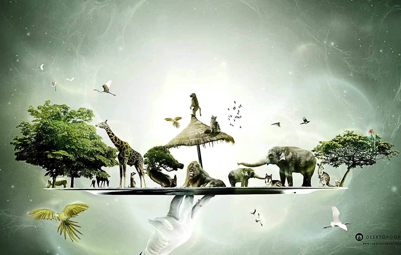 Photo wallpaper Tree, Monkey, Birds, Hand, Leo, Wolf, Giraffe, Elephant