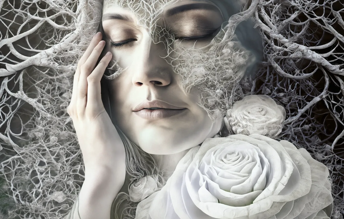 Photo wallpaper winter, frost, girl, trees, flowers, branches, face, portrait