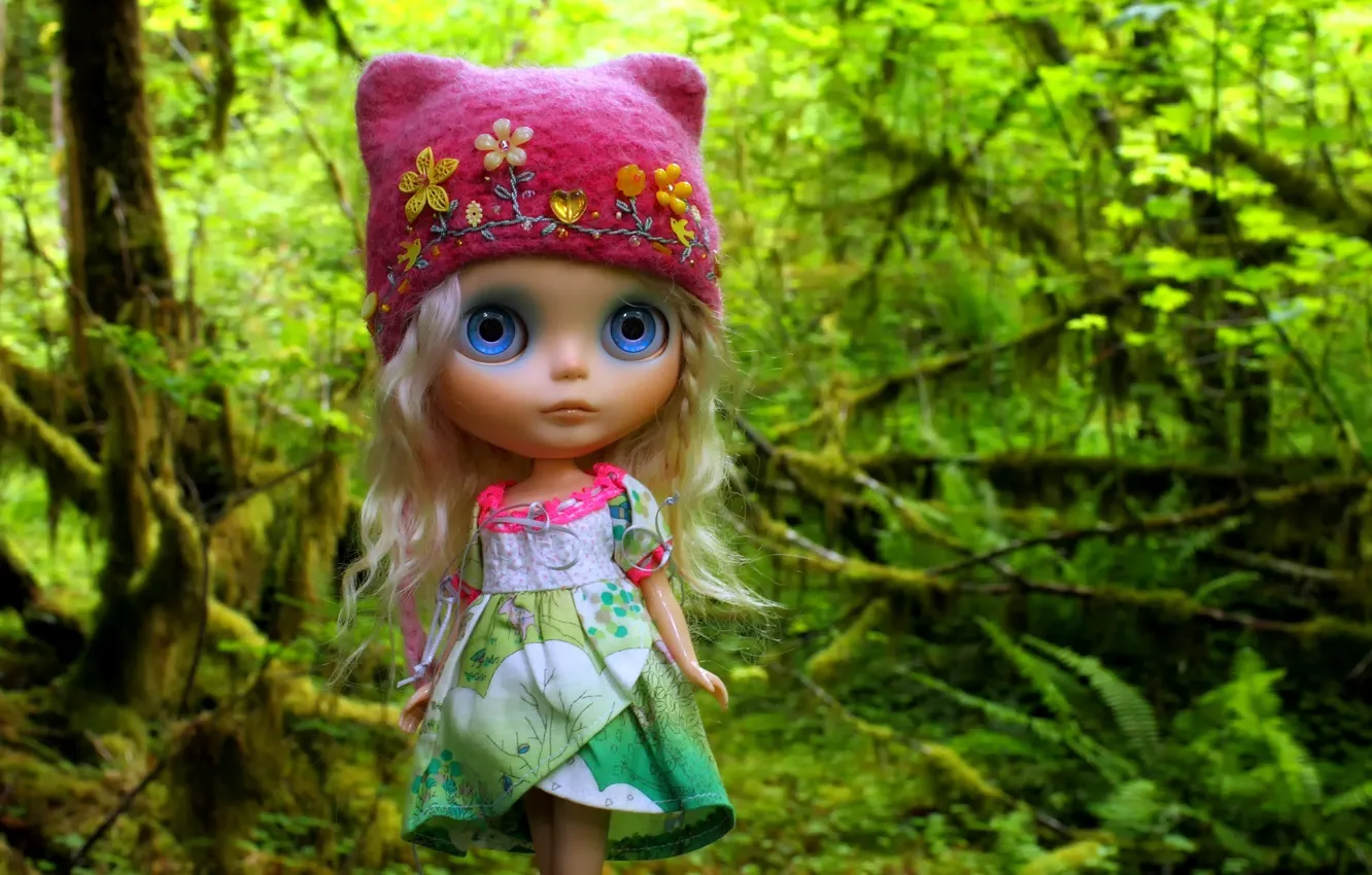 Photo wallpaper forest, hat, hair, toy, doll, cap