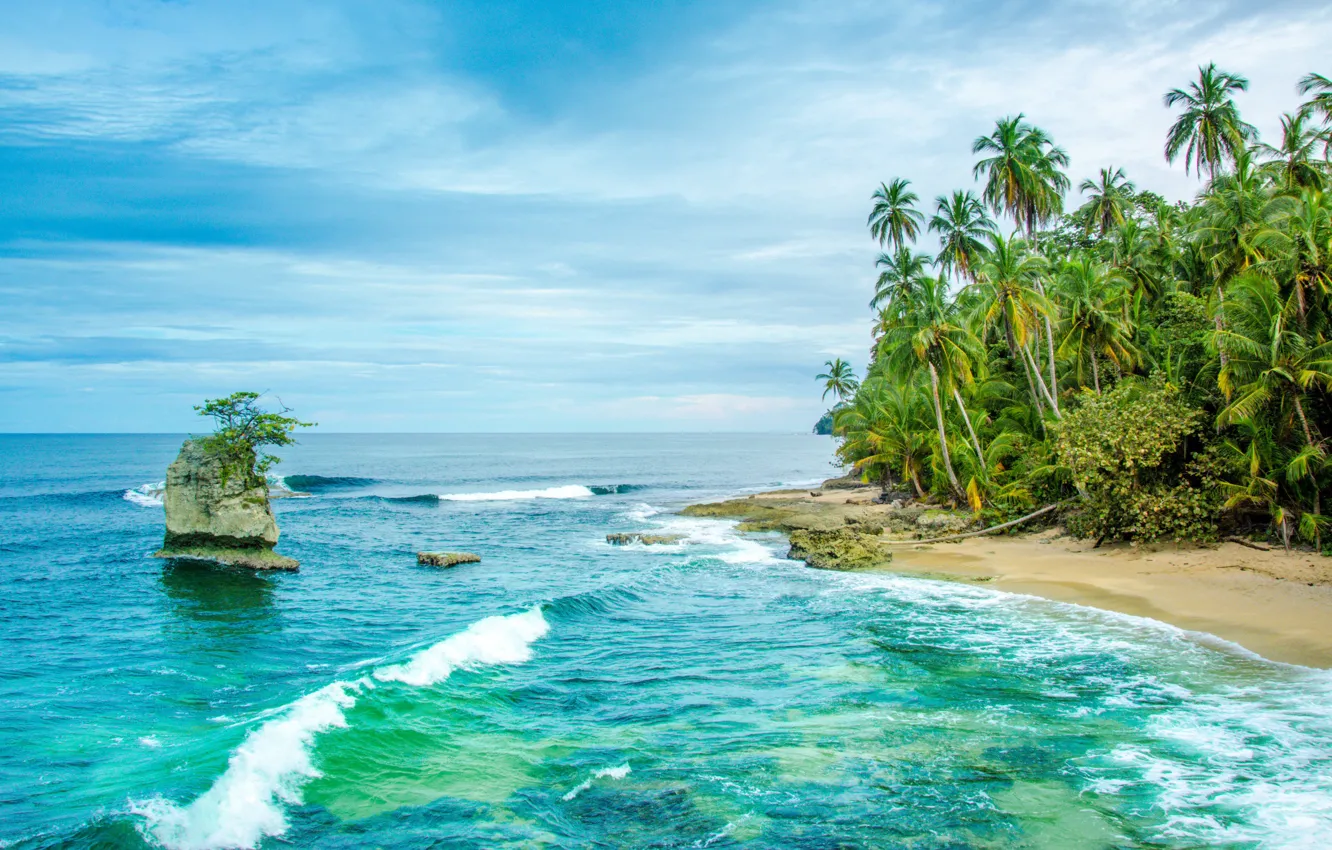 Photo wallpaper sea, palm trees, shore, Caribbean, Costa Rica