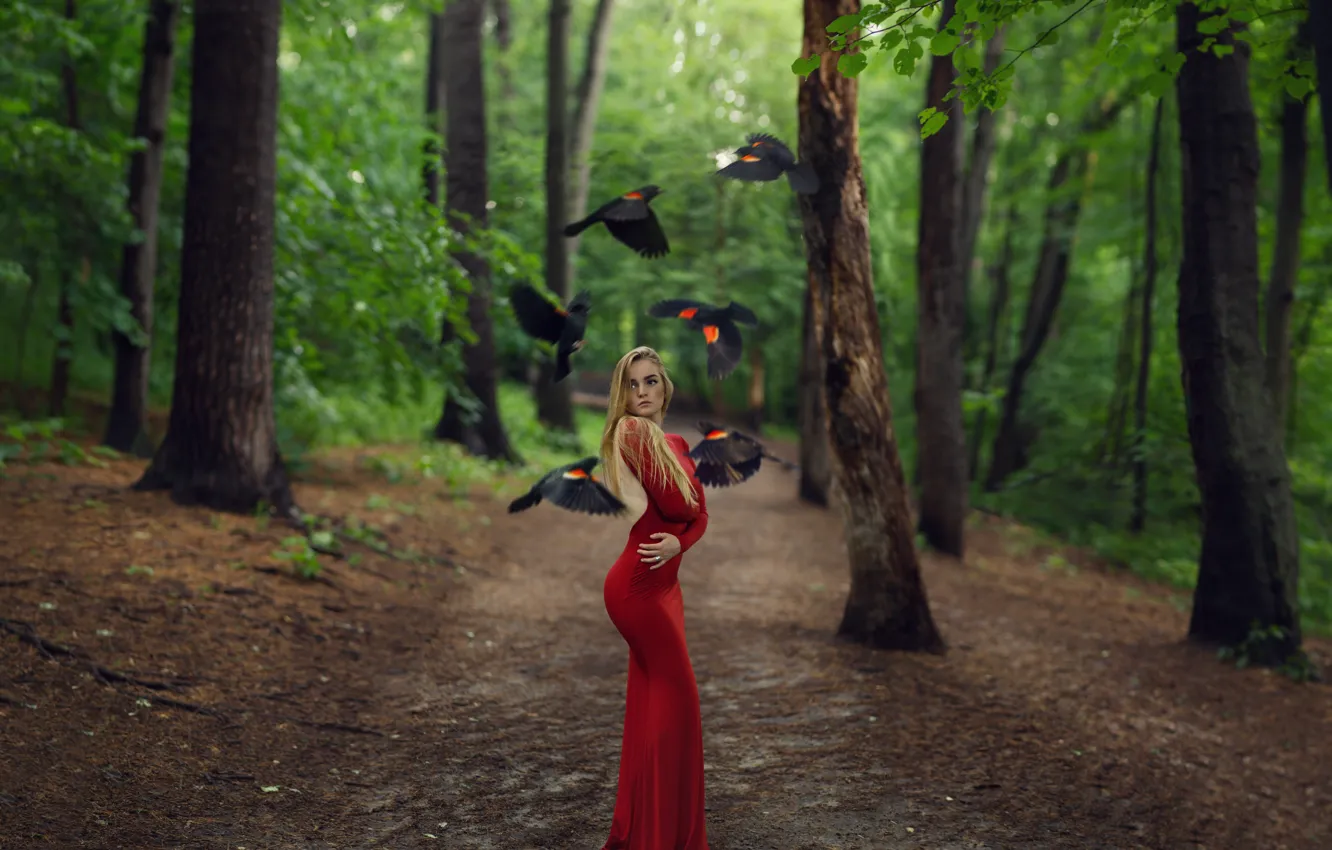 Photo wallpaper girl, trees, bird, figure, dress, in red, spring