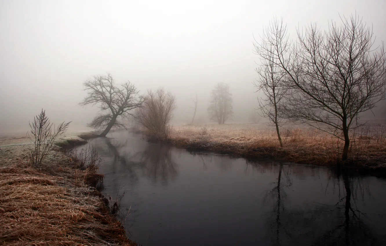 Photo wallpaper autumn, water, trees, fog, reflection, river, Bank, dampness