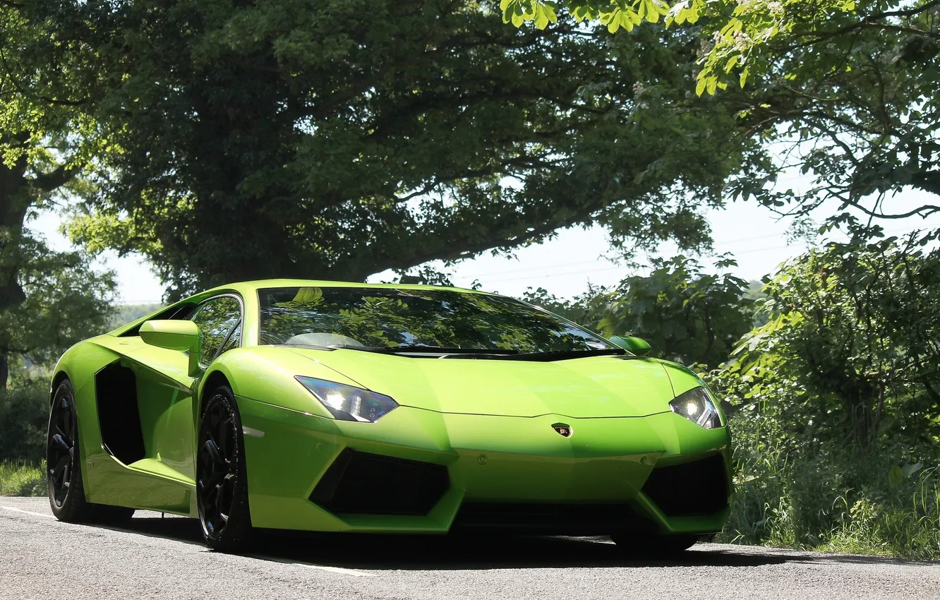 Photo wallpaper the sky, trees, green, green, Lamborghini, front view, trees, headlights