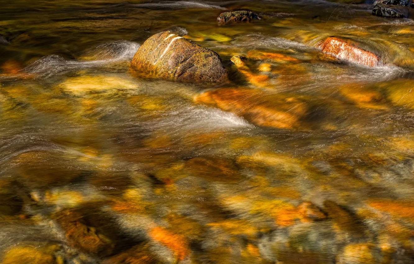 Photo wallpaper river, stream, stones, stream