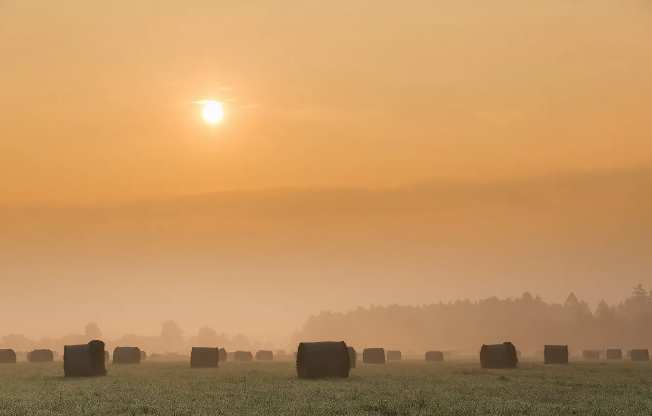 Photo wallpaper field, landscape, sunset, fog, hay