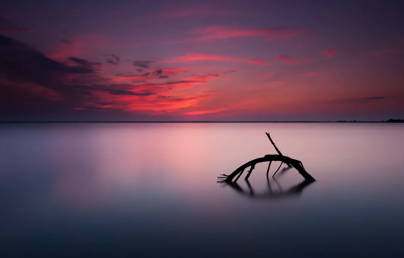 Photo wallpaper the sky, sunset, horizon, snag