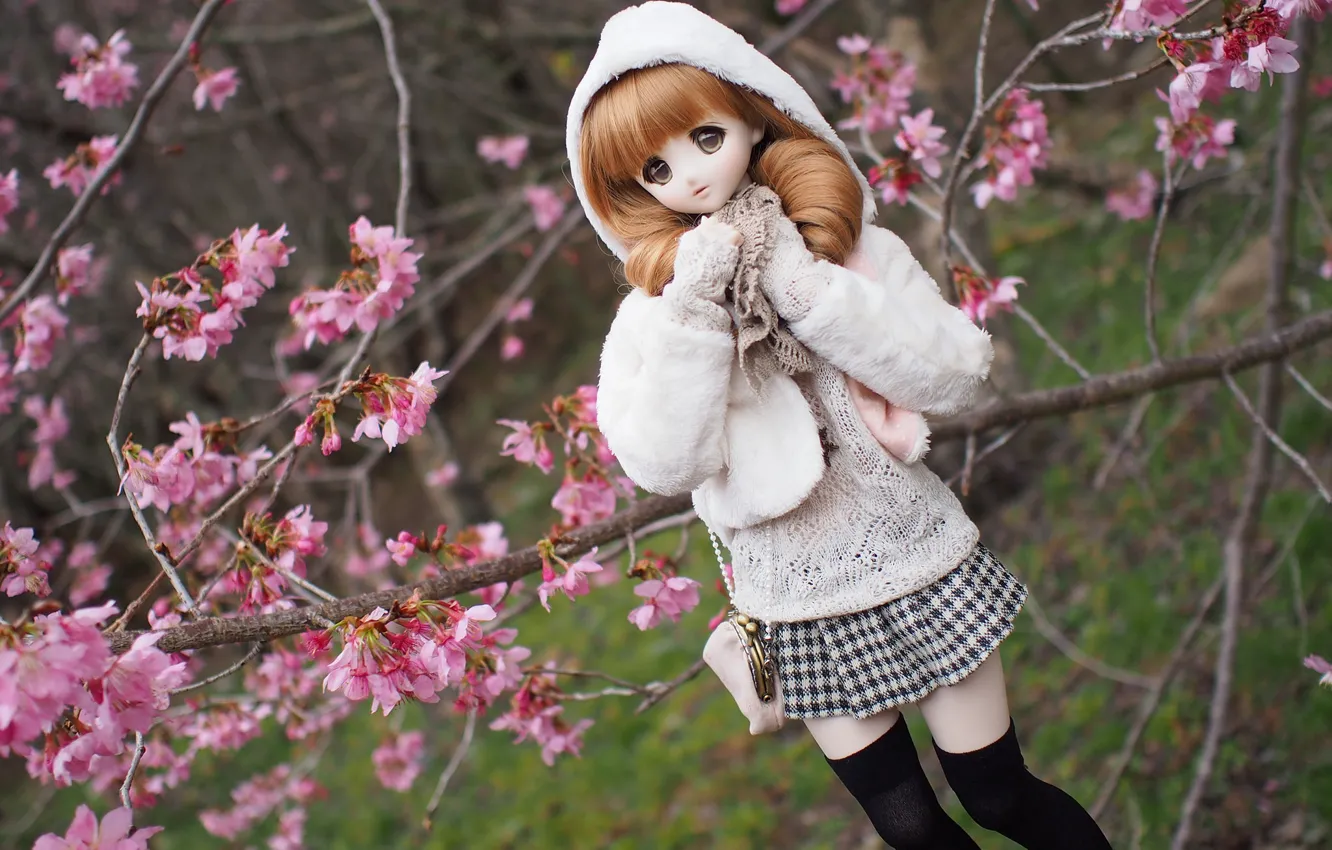 Photo wallpaper branches, cherry, toy, doll, Sakura, flowering