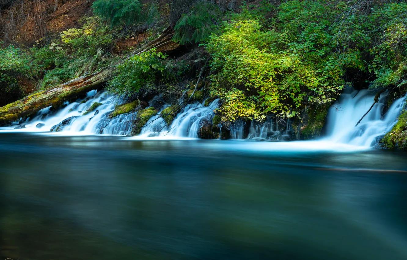 Photo wallpaper river, vegetation, Oregon, waterfalls, cascade, Oregon, The Metolius River, Metolius River