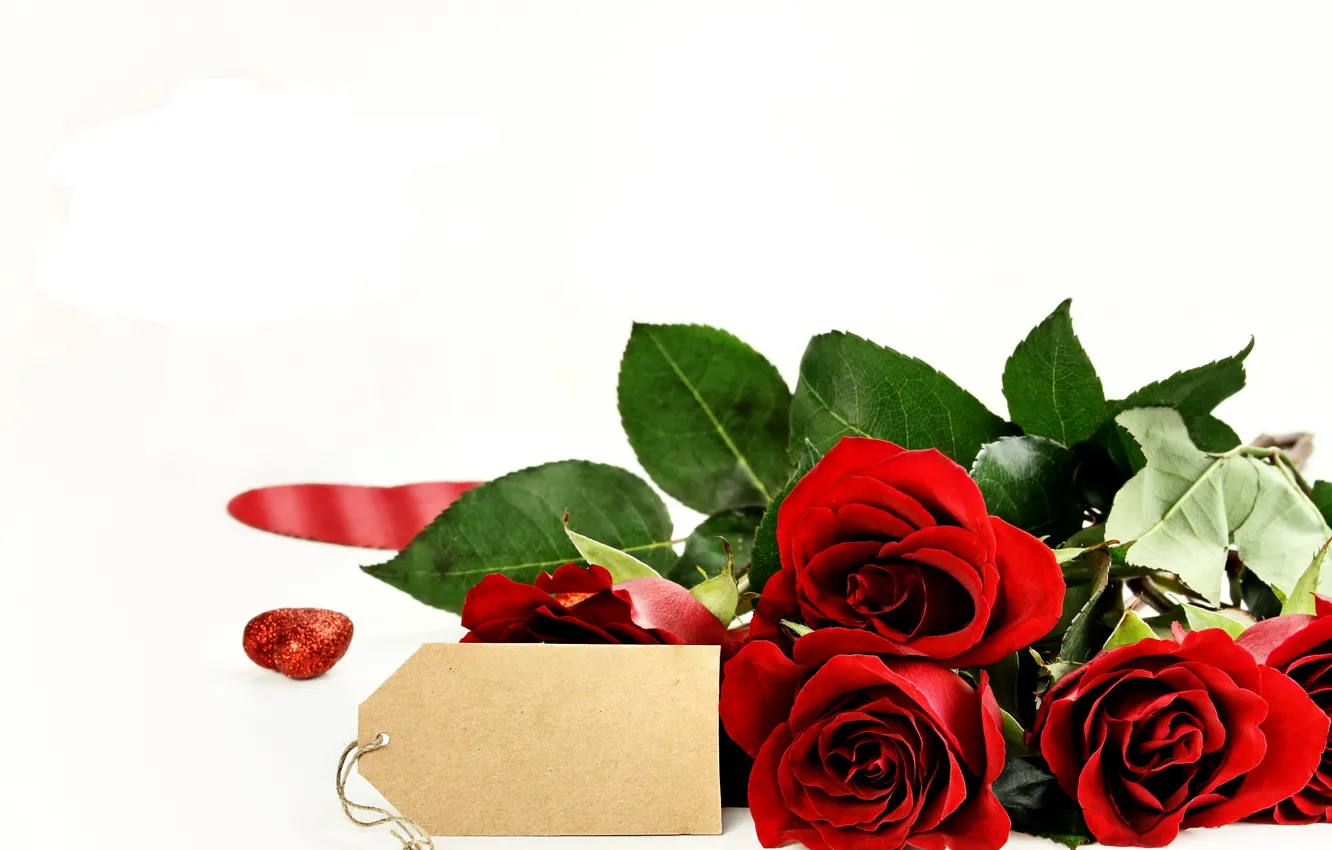 Photo wallpaper romance, roses, red, roses, valentines day