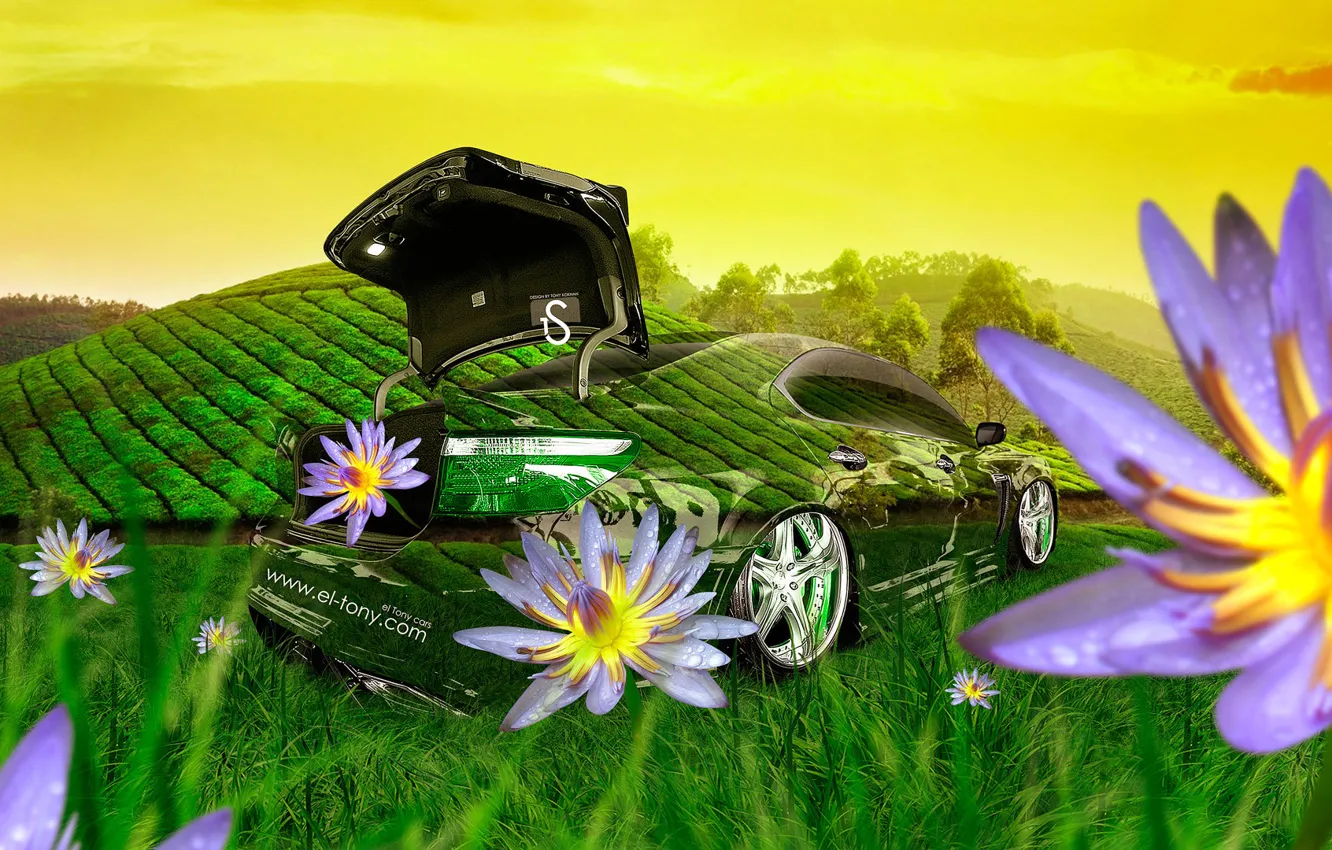 Photo wallpaper Flowers, Nature, Grass, Lexus, Style, Lexus, Wallpaper, Fantasy