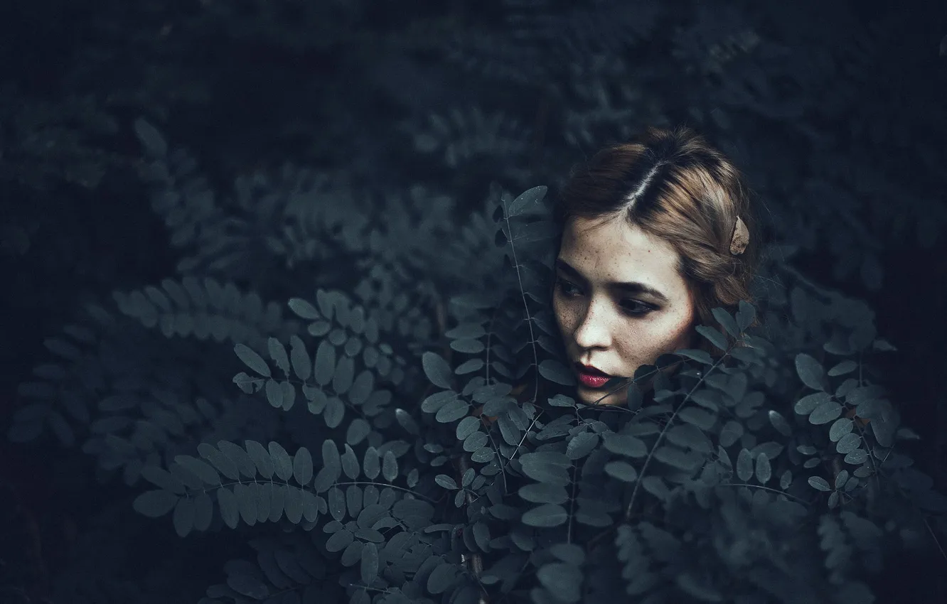 Photo wallpaper leaves, girl, makeup, Hanna