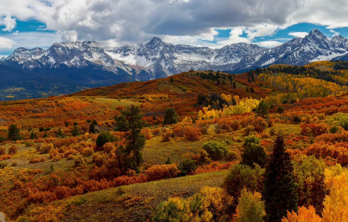 Photo wallpaper autumn, forest, mountains, slope, snowy peaks
