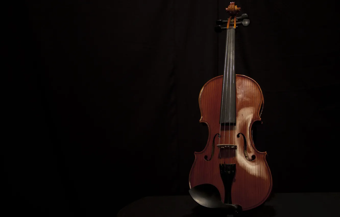 Photo wallpaper music, violin, black background, musical instrument