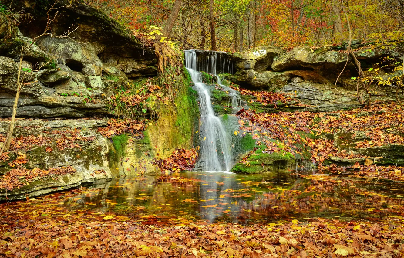Photo wallpaper autumn, forest, trees, rocks, waterfall
